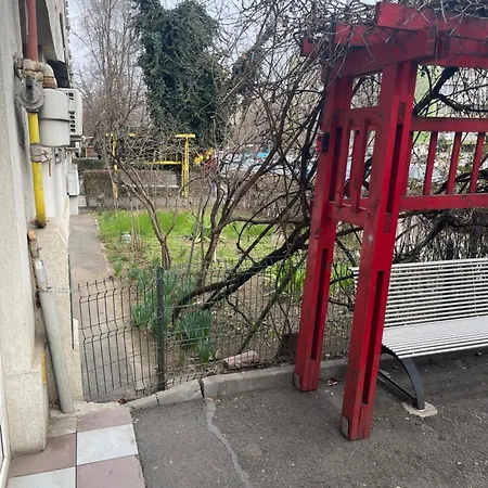 Black Nr1 * Bucarest