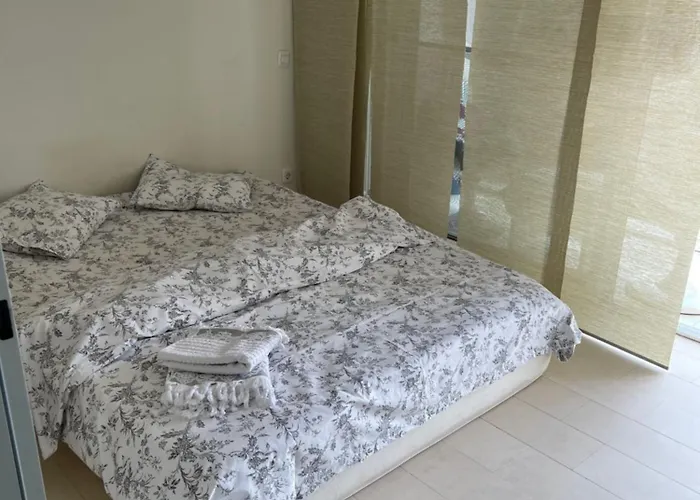 Black Nr1 Daire